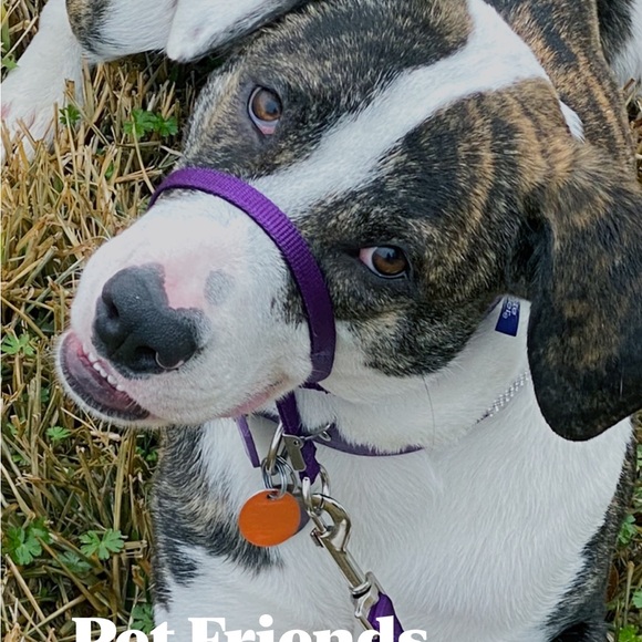 Meet your Posher, Jennifer - Picture 7 of 16